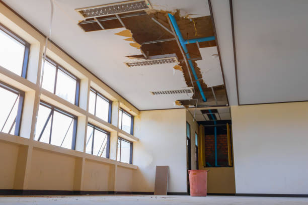 Best Water damage contractors near me  in Yamhill, OR