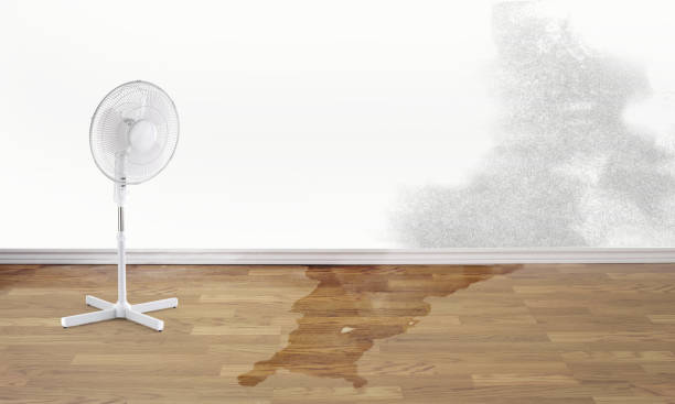 Best 24-hour water damage restoration  in Yamhill, OR