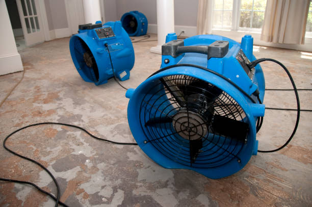 Best Professional water damage repair  in Yamhill, OR