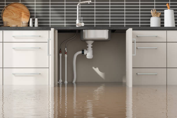 Best Flood restoration services  in Yamhill, OR